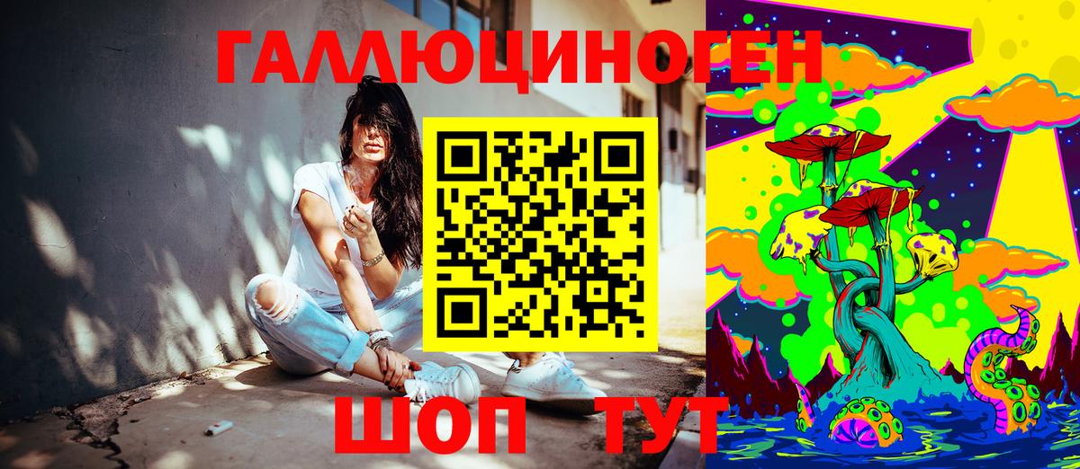 Псилоцибиновые грибы прущие грибы  Вход с VPN  Камень-на-Оби 